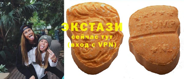 шишки Богородицк